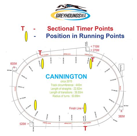 cannington dogs results|Trackinfo .